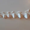 Agnello pasquale testa 6