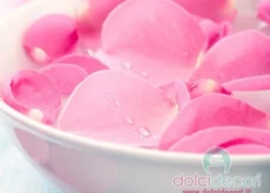 Aroma dolci acqua di rose