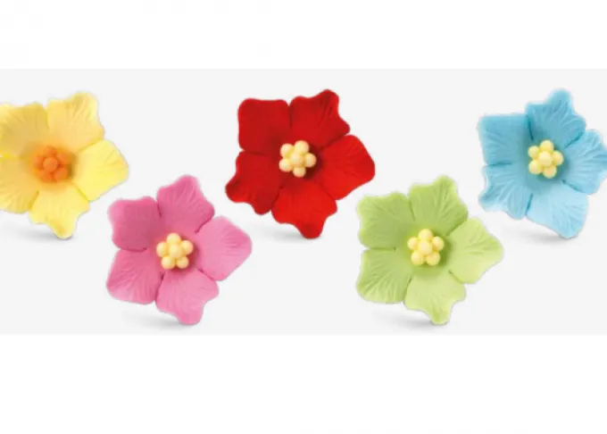 Assortimento fiori colorati