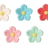 Aster piccoli