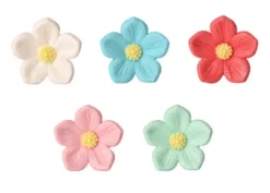 Aster piccoli