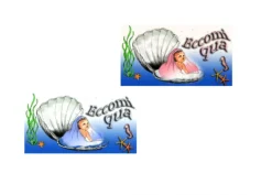 Biglietti nascita Eccomi qua Conchiglia