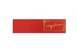 Bigliettini Diploma