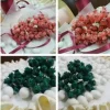 Bocciolo di tulipano
