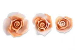 Bocciolo Rosa Arancio