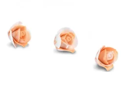 Bocciolo Rosa Arancio