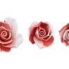 Bocciolo Rosa Rosso