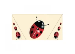 Busta Biglietto Laurea