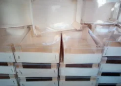 Cassetta in legno per frutta Martorana