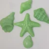 Conchiglie zucchero Mare
