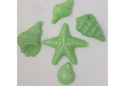 Conchiglie zucchero Mare