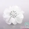 Cosmos bianco con stellina