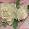 Cutter Peonia set 4