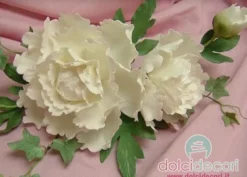 Cutter Peonia set 4