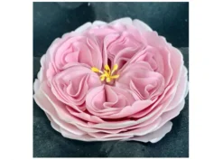 Cutter Rosa Inglese