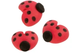 Decorazioni di zucchero Coccinelle