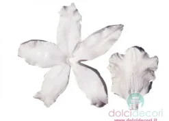 Decorazioni dolci: petal veiner orchidea