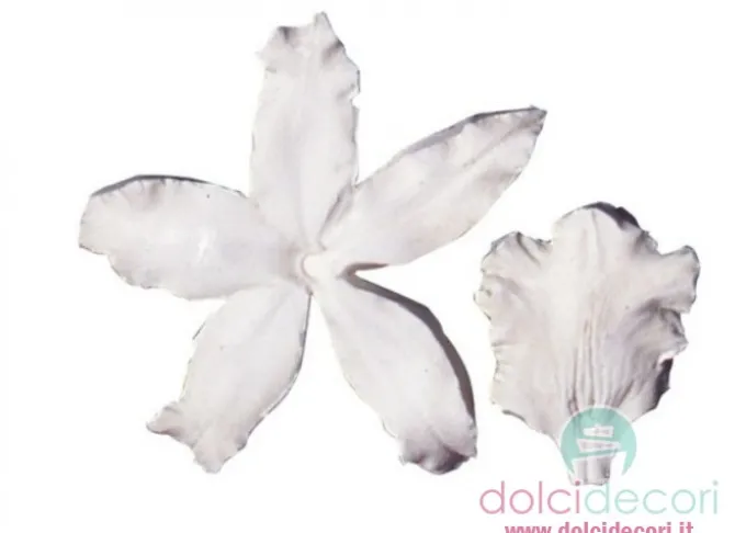 Decorazioni dolci: petal veiner orchidea