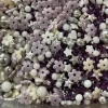 Decori da Spargere Pearls Lilla