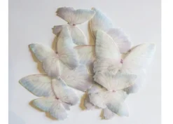 Farfalle pastello in cialda