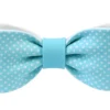 Fiocco in zucchero azzurro a Pois