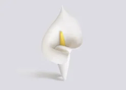 Fiore Calla bianca grande