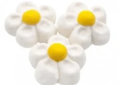 Fiore marshmallow bianco