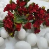 Fiore Rosso