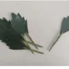 Foglie Carote per frutta martorana