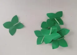 Foglie di Kaki