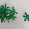Foglie di Pomodoro