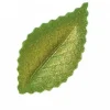 Foglie Ostia Verde Glitterate Oro