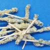 Foglie per frutta martorana Nespola