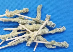 Foglie per frutta martorana Nespola