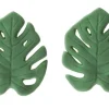 Foglie Tropicale Zucchero