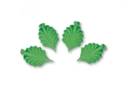 Foglie verdi di zucchero