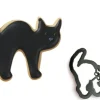 Gatto nero