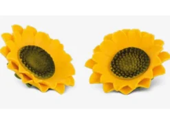 Girasole zucchero