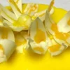Glassa specchio Limone