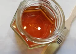 Lucido per Frutta Martorana Pronto