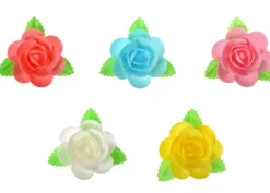 Magnolie colorate