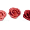 Media Rosa Bordeaux