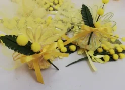 Mimosa con fiore