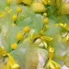 Mimose Marshmallow