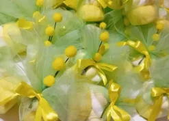 Mimose Marshmallow