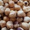Nocciole intere