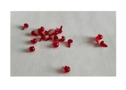 Occhi Crostaceo Gambero