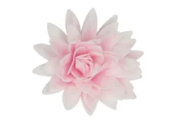 Peonia in cialda