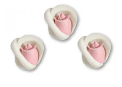 Piccola Rosa Bianca Cuore Rosa