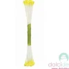 Pistilli fiori giallo